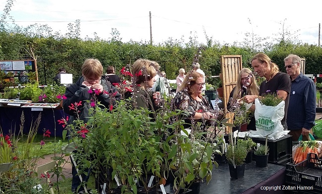 Specialist Plant Nurseries