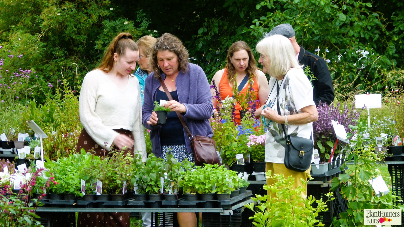 customers browsing pots of herbs